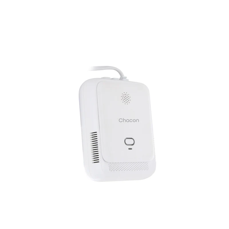 Gas leak detector