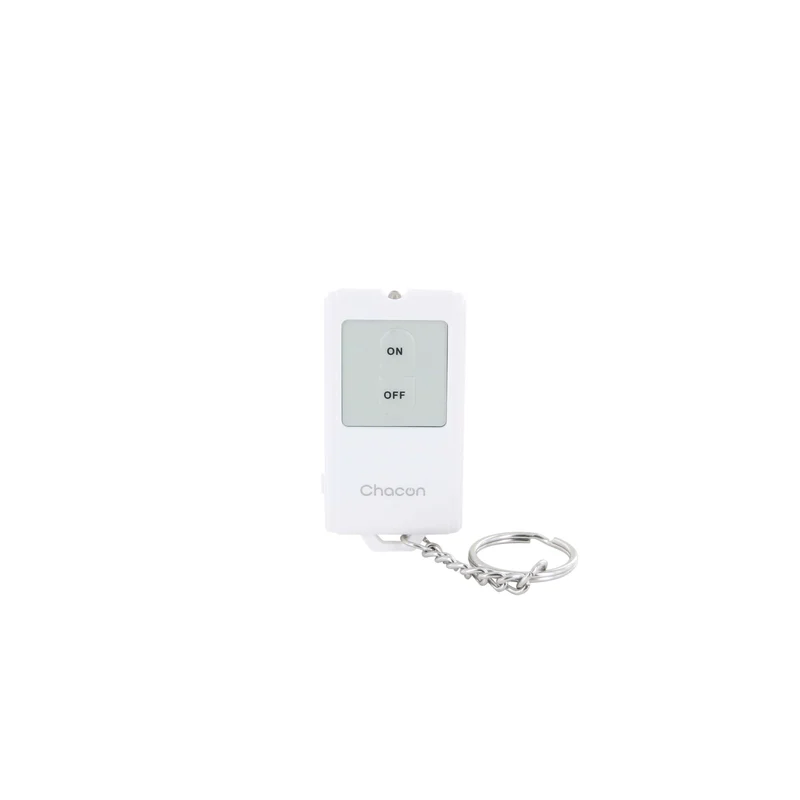 Wireless remote control