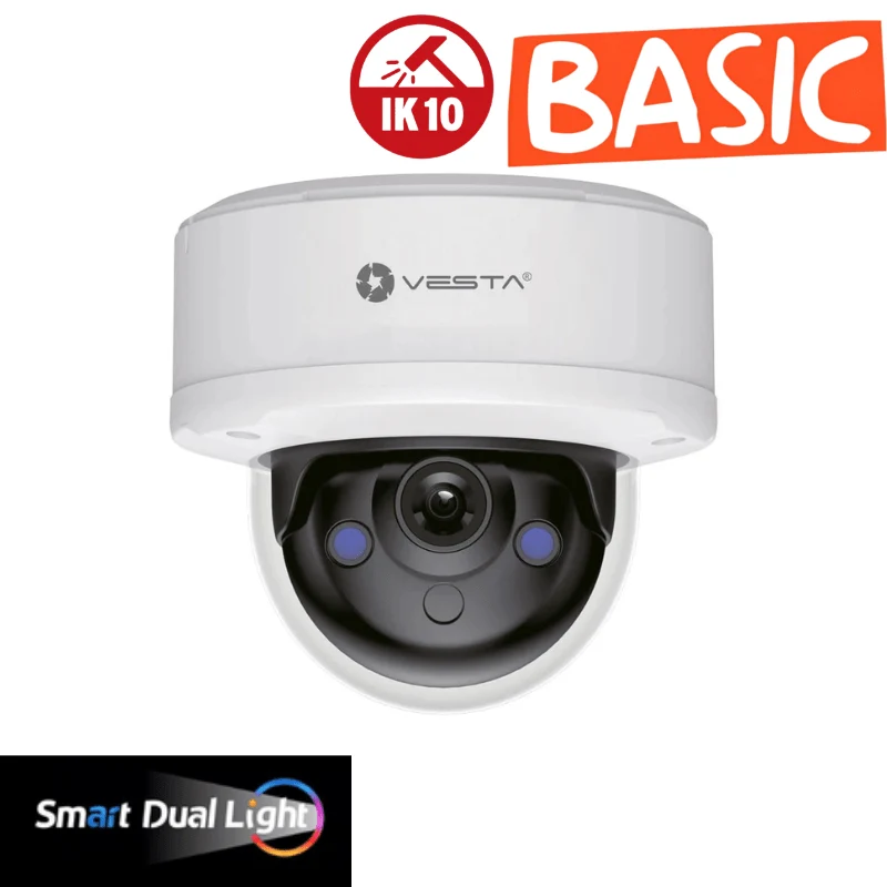 Caméra de surveillance dôme IP VESTA - Basic Anti-Vandalisme