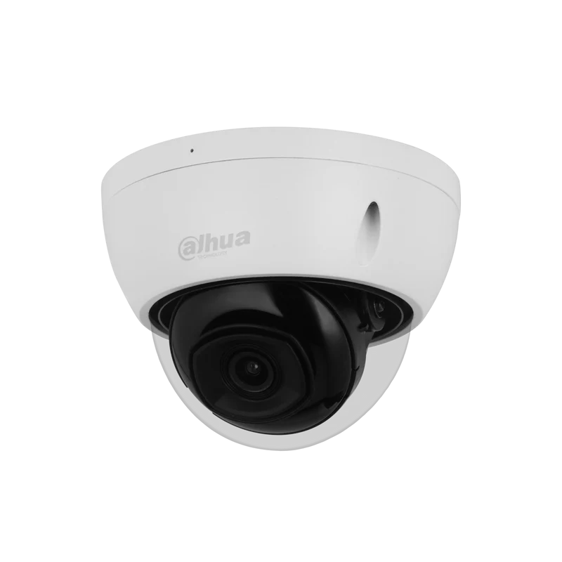 Caméra de surveillance dôme IP - Série Pro Anti Vandalisme